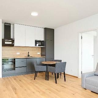 Pronájem bytu 2+kk 53 m² Praha, Sokolova