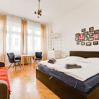 Pronájem bytu 1+1 40 m² Praha, Voršilská