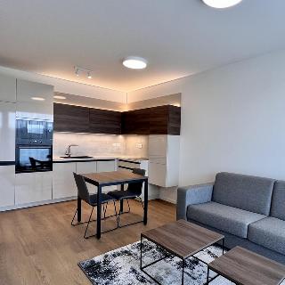 Pronájem bytu 2+kk 53 m² Praha, U plynárny