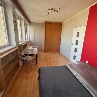 Pronájem bytu 1+kk a garsoniéry 28 m² Praha, Černokostelecká