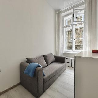 Pronájem bytu 2+1 40 m² Praha, Ve Smečkách