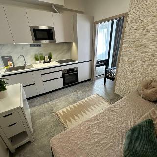 Pronájem bytu 2+kk 20 m² Praha, Sokolská