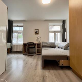 Pronájem bytu 1+kk a garsoniéry 20 m² Praha, Donská