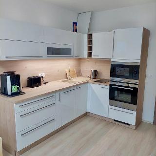 Pronájem bytu 1+kk a garsoniéry 35 m² Praha, Federova