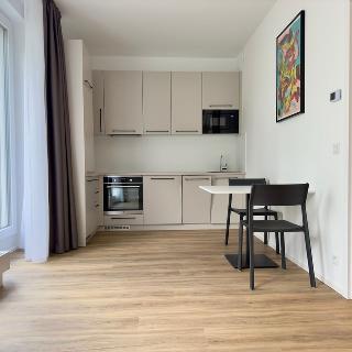 Pronájem bytu 1+kk a garsoniéry 37 m² Praha, Odkolkova