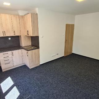 Pronájem bytu 1+kk a garsoniéry 22 m² Příbram, S. K. Neumanna