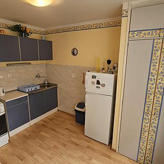 Pronájem bytu 1+1 47 m&sup2; Příbram