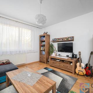 Pronájem bytu 2+1 54 m² Liberec, Sametová