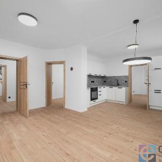 Pronájem bytu 3+kk 64 m² Jablonec nad Nisou, Ivana Olbrachta