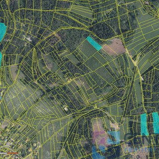 Prodej lesa 15 992 m² Železný Brod