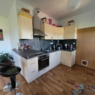 Pronájem bytu 1+kk a garsoniéry 40 m² Jablonec nad Nisou, Palackého