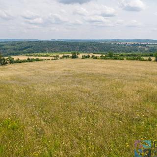 Prodej stavební parcely 1 142 m² Černolice, Všenorská