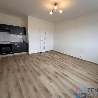 Pronájem bytu 2+kk 42 m² Jablonec nad Nisou, Mechová