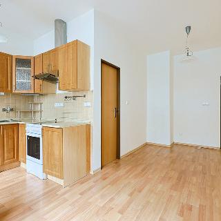 Pronájem bytu 2+kk 55 m² Plzeň, Na Belánce