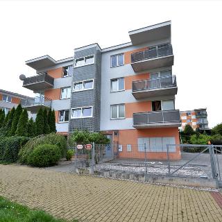 Pronájem bytu 1+kk a garsoniéry 46 m² Plzeň, Znojemská