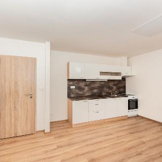 Pronájem bytu 2+kk 35 m² Plzeň, Skvrňanská