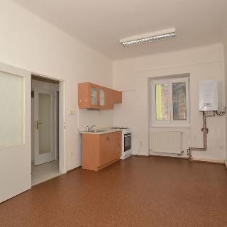 Prodej bytu 2+kk 50 m² Plzeň, Koterovská