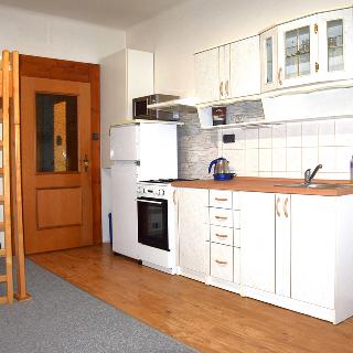 Pronájem bytu 1+kk a garsoniéry 24 m² Plzeň, Masarykova