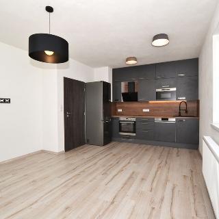 Pronájem bytu 2+kk 49 m² Plzeň, Pecháčkova