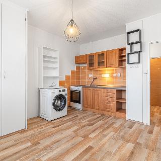 Pronájem bytu 1+1 39 m² Plzeň, Tachovská