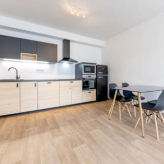 Pronájem bytu 2+kk 47 m² Plzeň
