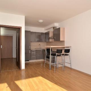 Pronájem bytu 2+kk 54 m² Plzeň, Vltavínová