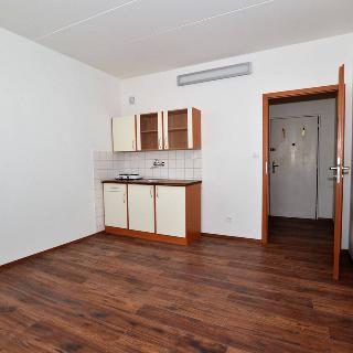 Pronájem bytu 1+kk a garsoniéry 20 m² Plzeň, Partyzánská