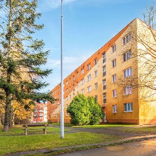 Prodej bytu 2+1 48 m² Plzeň, U Lomů