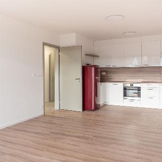 Pronájem bytu 2+kk 67 m² Starý Plzenec, Smetanova