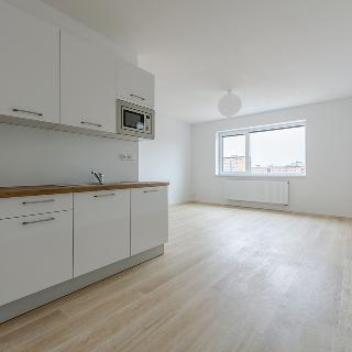 Pronájem bytu 1+kk a garsoniéry 49 m² Plzeň, Františka Kováříka