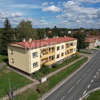 Prodej bytu 2+1 57 m² Kostomlaty nad Labem