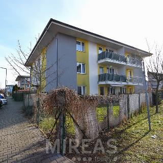 Pronájem bytu 2+kk 63 m² Lysá nad Labem, Vichrova