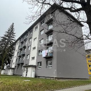 Pronájem bytu 2+kk 32 m² Milovice, Spojovací