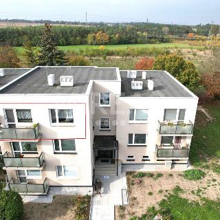 Prodej bytu 3+1 86 m² Čelákovice, V Prokopě