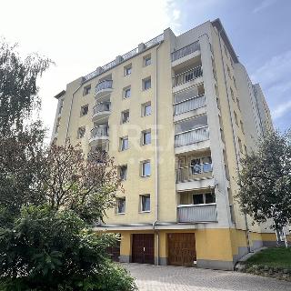 Pronájem bytu 1+kk a garsoniéry 39 m² Čelákovice, Volmanova