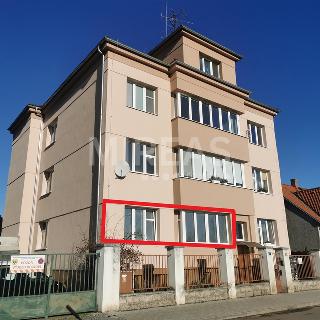 Pronájem bytu 2+kk 45 m² Lysá nad Labem, Zahradní