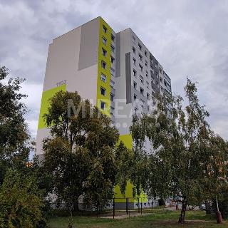 Pronájem bytu 2+kk 45 m² Mladá Boleslav, Jana Palacha