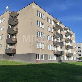 Pronájem bytu 3+1 78 m² Kosmonosy, Pod koupalištěm