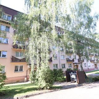 Pronájem bytu 1+1 35 m² Milovice, Mírová