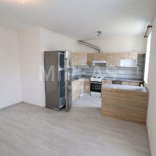 Pronájem bytu 2+kk 53 m² Milovice