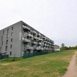 Pronájem bytu 2+kk 45 m² Mladá Boleslav, Na Radouči