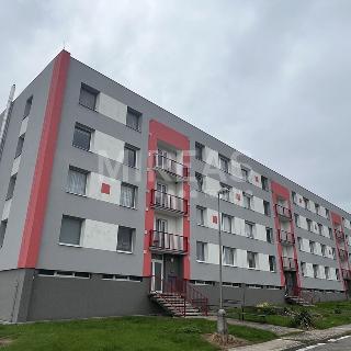 Prodej bytu 3+1 90 m² Dětenice