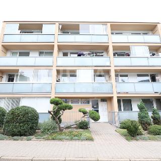 Pronájem bytu 1+kk a garsoniéry 26 m² Mělník, Nová