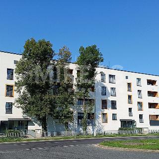 Prodej bytu 2+kk 66 m² Lysá nad Labem, Jedličkova