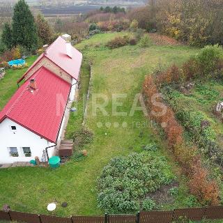 Prodej stavební parcely 1 000 m² Loučeň, Zahrádkova