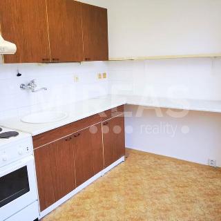 Pronájem bytu 2+1 60 m² Milovice, Armádní