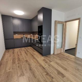 Pronájem bytu 2+kk 74 m² Praha, Štěchovická