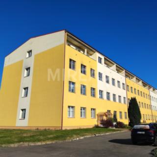 Pronájem bytu 1+1 37 m² Milovice