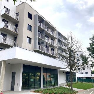 Pronájem bytu 2+kk 72 m² Pardubice, nábřeží Závodu míru