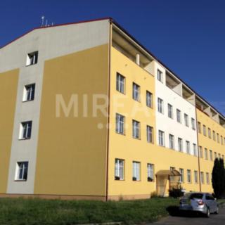 Pronájem bytu 1+1 37 m² Milovice